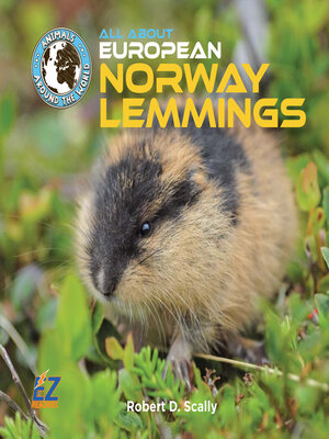 cover image of All About European Norway Lemmings